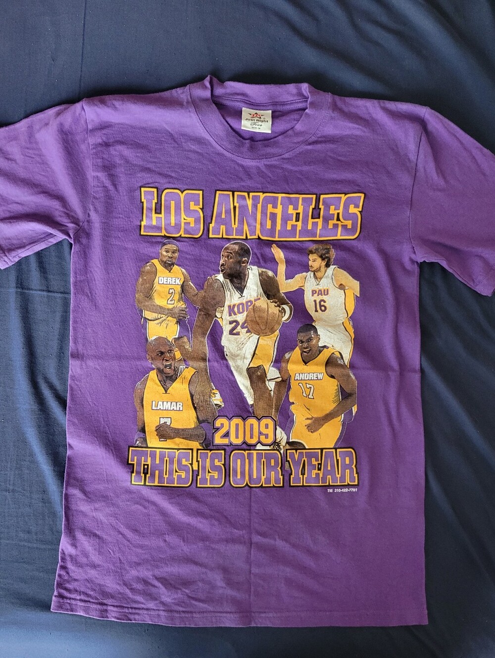 Los Angeles Purple Graphic Mens Size Medium T-Shirt - 'This Is Our Year' 2009
